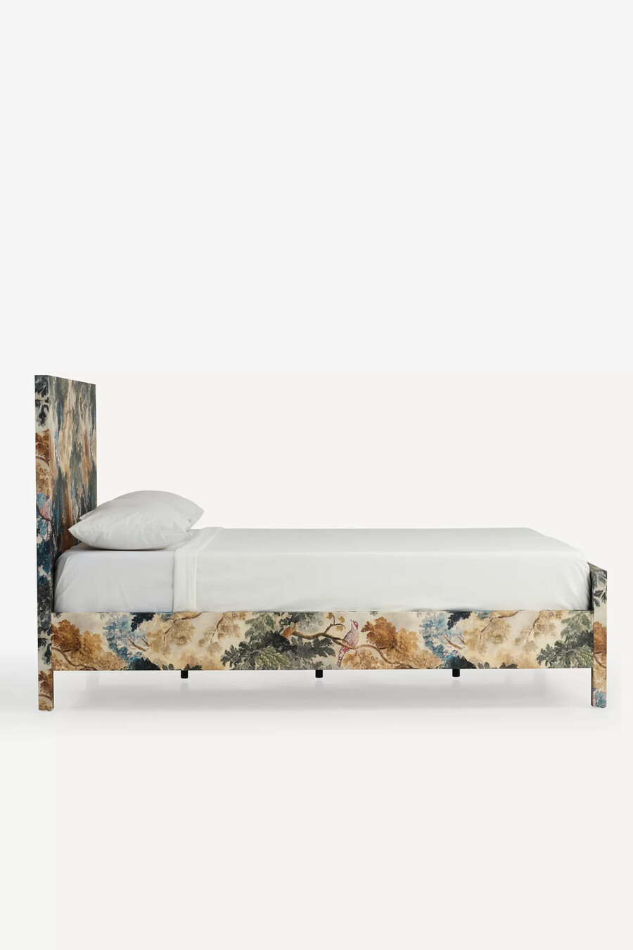 hale canvas bett