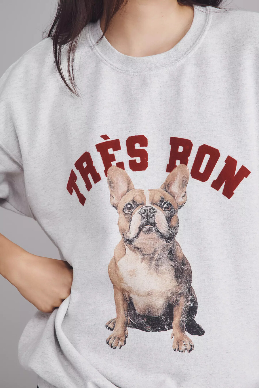 sweatshirt mit hunde-motiv von anthropologie