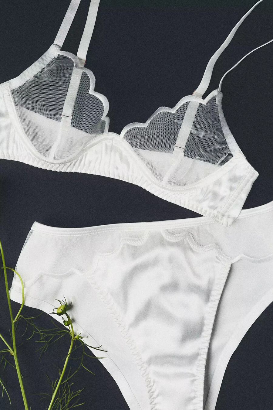 lyrebird bh aus transparentem satin mit wellenschliff