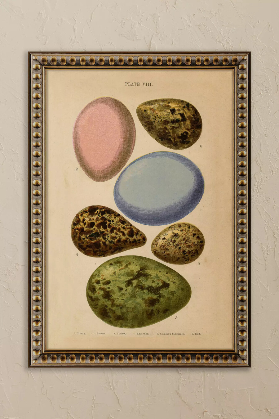 eier von wyatt landesmann gerahmtes wandbild