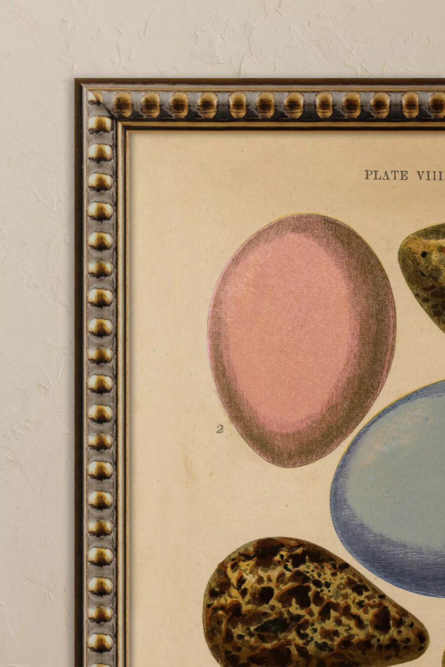 eier von wyatt landesmann gerahmtes wandbild