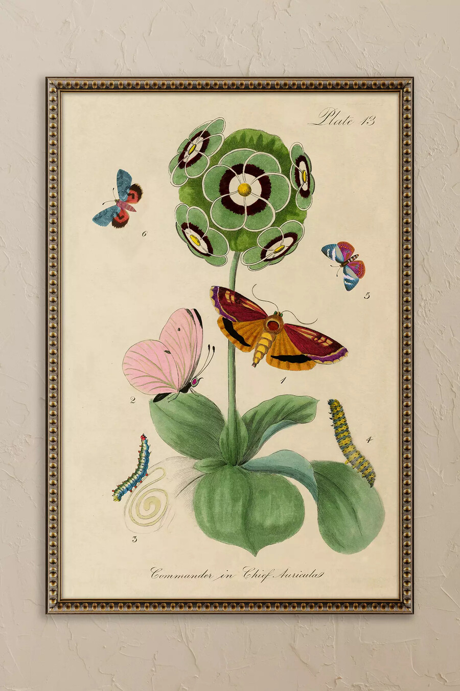 blume von wyatt landesmann gerahmtes wandbild