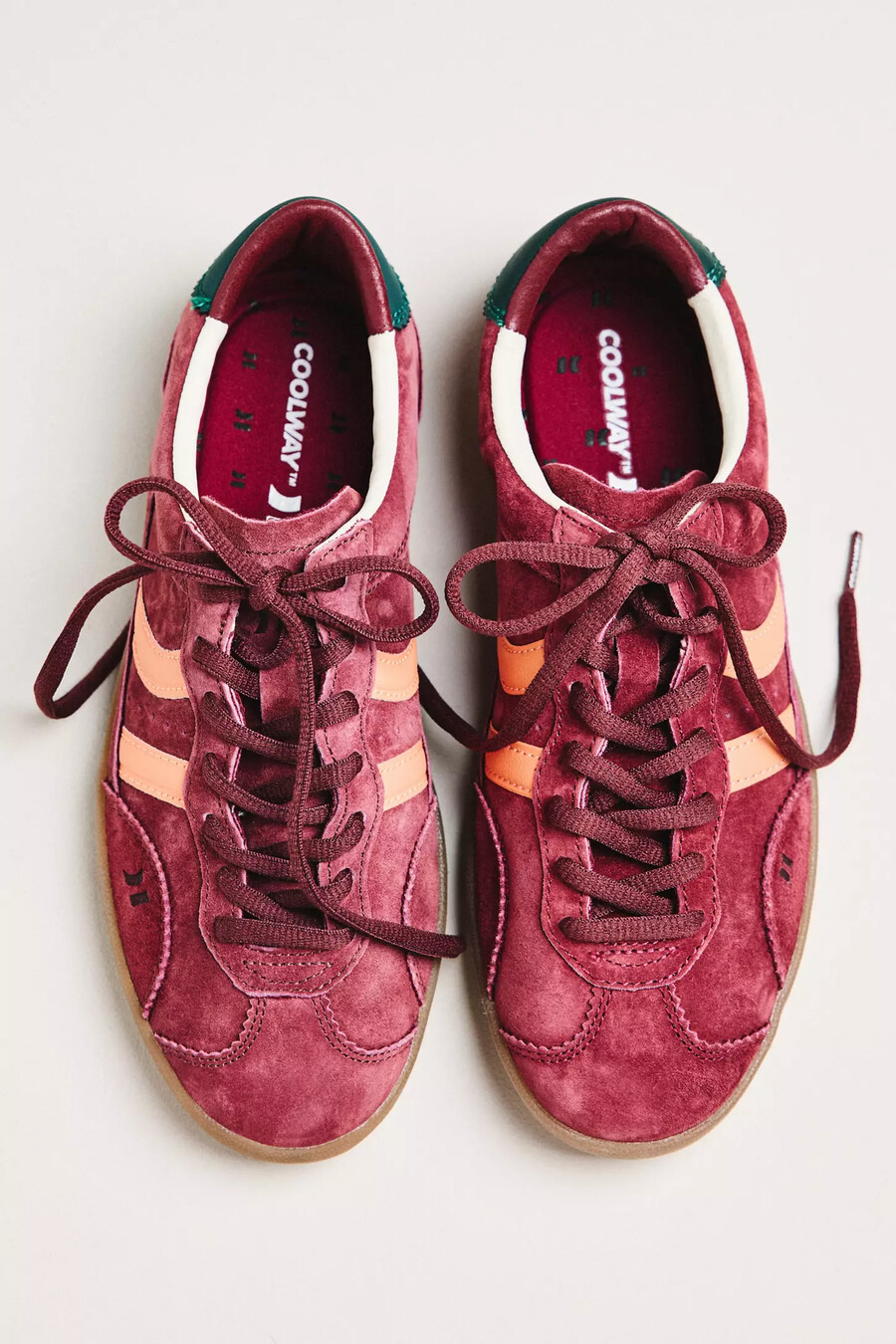 coolway kizuna trainer